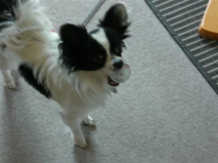 Blanding af racer Egon - Egon spiller golf. billede 4