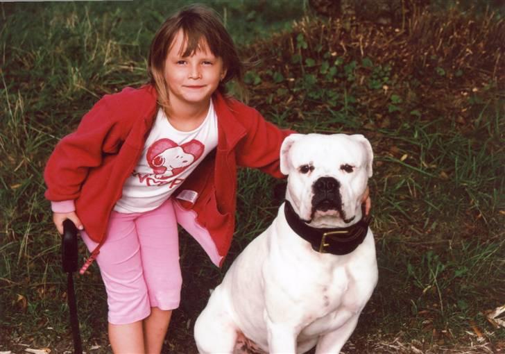 Amerikansk bulldog sonneholts rommel(don) billede 5