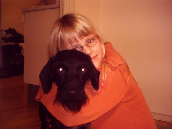 Blanding af racer Rottehund Max - jubii... Julie krammer mig, håber snart hun går med mig... billede 3