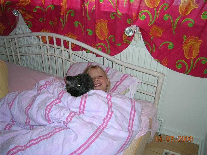 Mellempuddel Bølle - Bølle og jeg, en morgen. billede 15