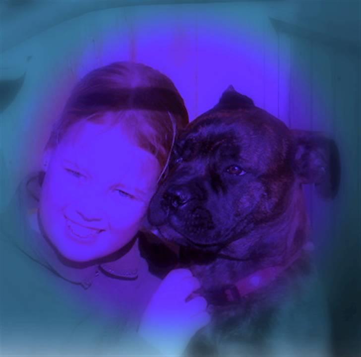 Bullmastiff Frida - mig og frida:D da hun var lille:D billede 7