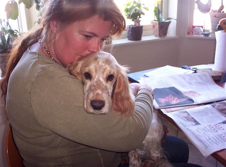 Cocker spaniel :)nuggi  RIP - små hemlighedder billede 11