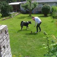 Blanding af racer Razz