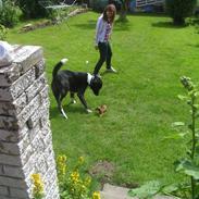 Blanding af racer Razz