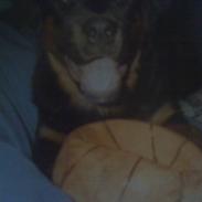 Blanding af racer rocky