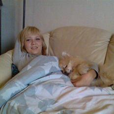 Pomeranian Gismo *R.I.P. 2016*