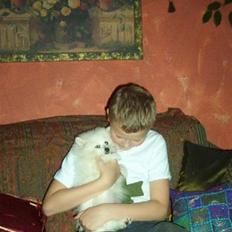 Volpino italiano Santa