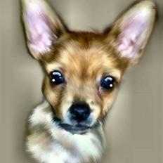 Blanding af racer *Cirkeline, fars lærling*