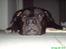 Blanding af racer Koda