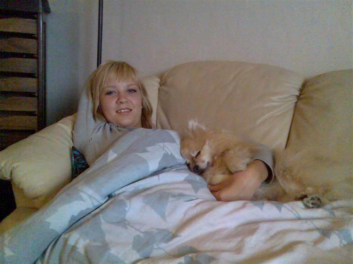 Pomeranian Gismo *R.I.P. 2016* - Sommer 2007 billede 2