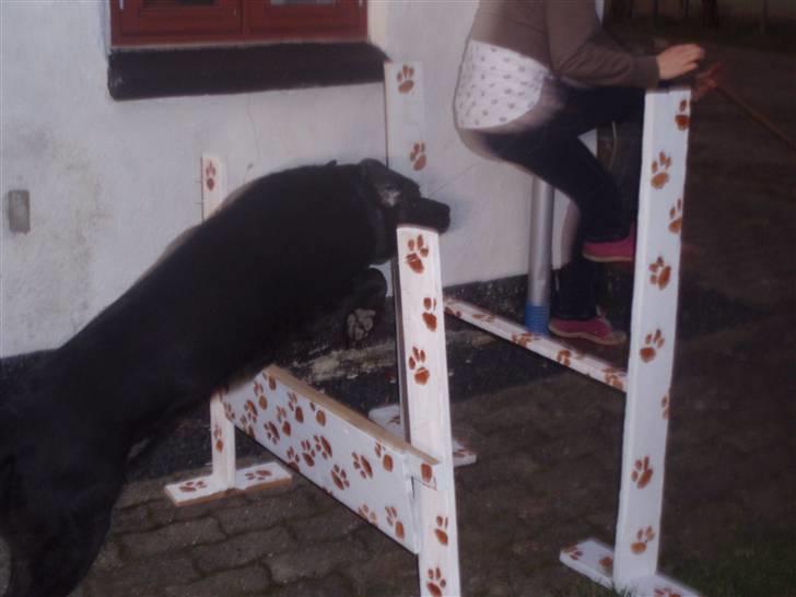 Blanding af racer trunte <3 Rest in peace! - nååår, hvor er hun sød <3<3<3 elsker dig trunte <3<3 billede 14