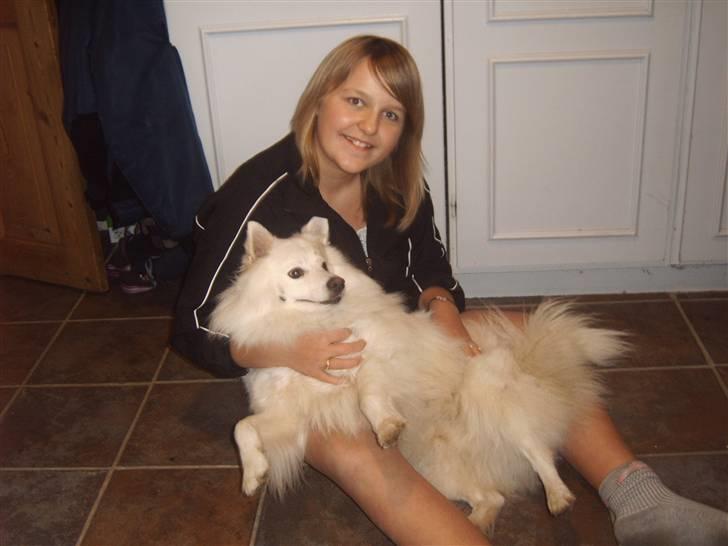 Japansk spids Bongo - hehe det er bongo og mig :P billede 1