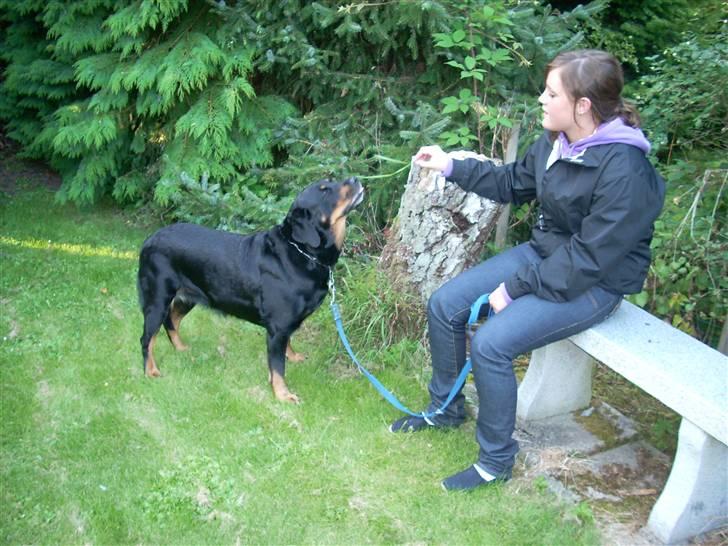 Blanding af racer Tøsen  - Her fodre jeg Tøsen med græs :D HAHA billede 4