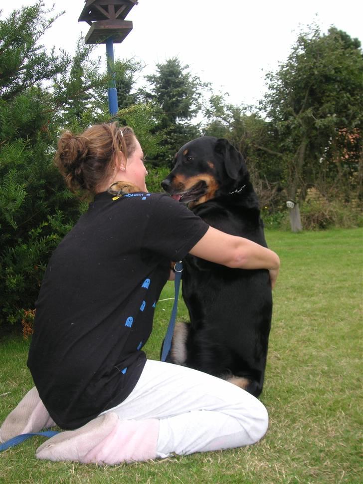 Blanding af racer Tøsen  - Krammer :D billede 12