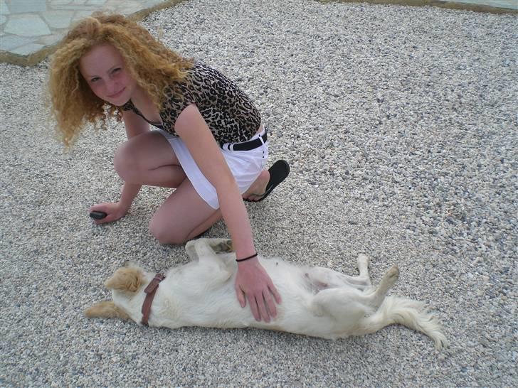 Blanding af racer Honey - Mig og honey på kreta billede 10