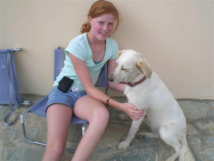 Blanding af racer Honey billede 12