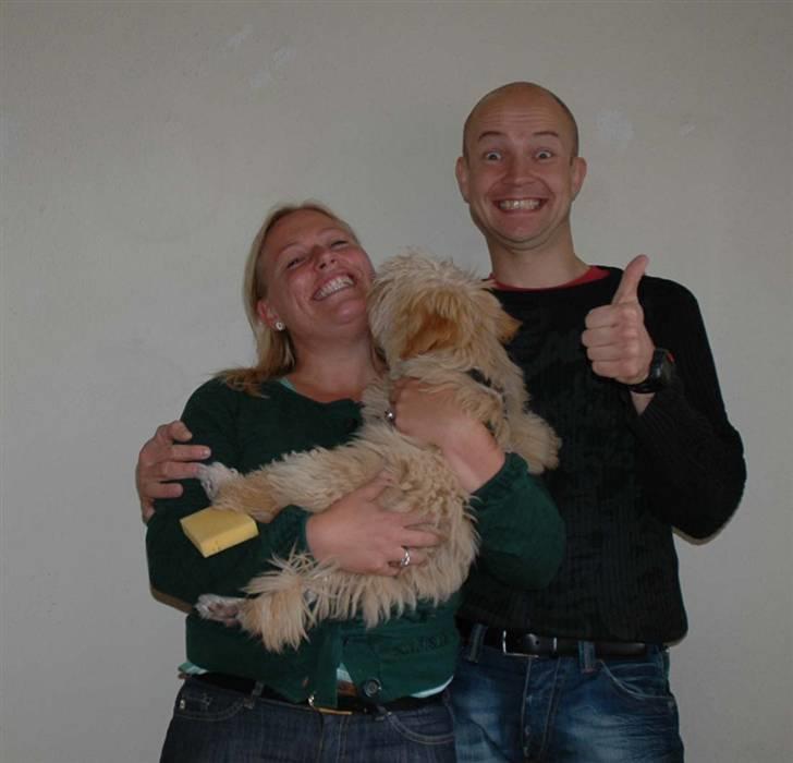 Løwchen Katongo - den glad familie billede 8