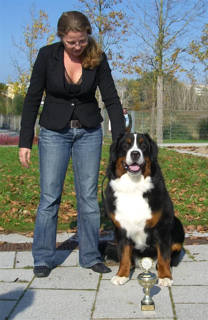 Berner sennenhund Zolo Vom Oberholzer Forst - Zolo - Rostock Jugendsieger 2007  billede 3