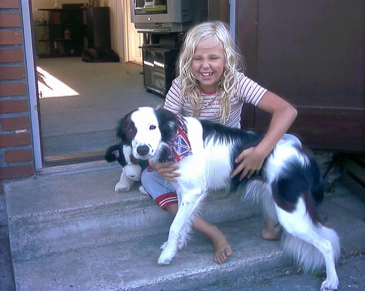 Border collie Xena - Mig og min bedste veninde Sandie. Hun er bare rigtig sød og leger tit med mig. :o)) billede 7