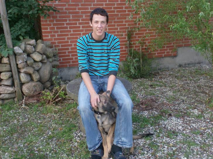 Schæferhund Shannon R.I.P - Derhjemme. Shannon og Michael.  billede 5