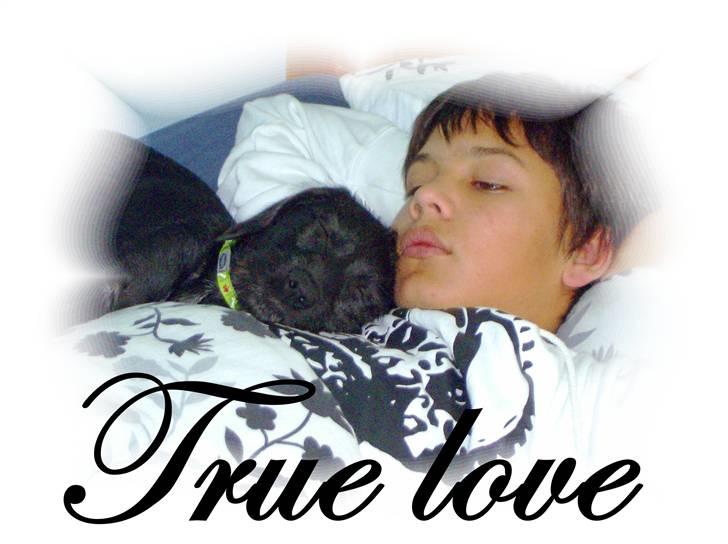 Blanding af racer Laika 18/7 - oh fryd oh fred ;-D billede 12