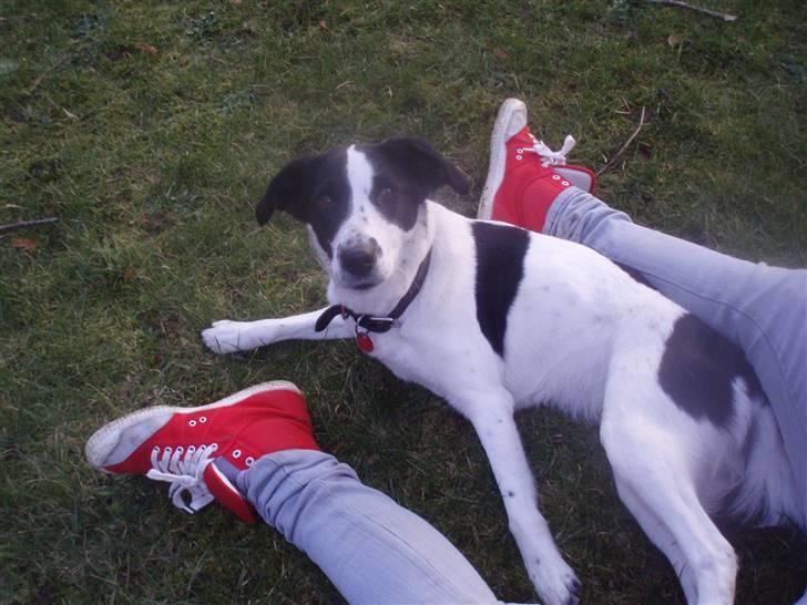 Blanding af racer Zita <3 :D - Zita og mine flotte sko? xD billede 4