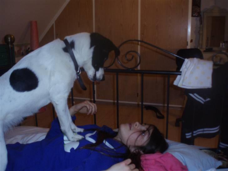 Blanding af racer Zita <3 :D - yes, jeg fik hende! dø Anna ! xD muhahahahahah billede 5