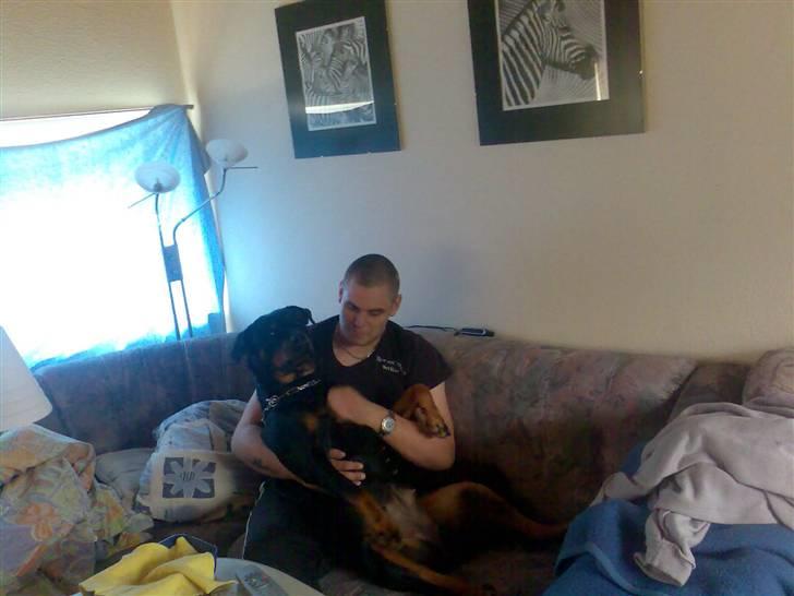 Rottweiler Elmediges Guzzi billede 2