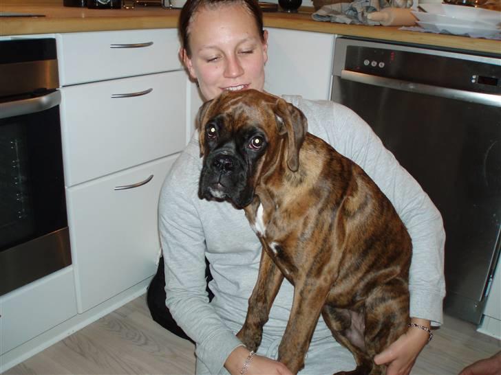 Boxer Bambo Leo - min mor syntes jeg er sjov, men ligner jeg måske en der griner? billede 5