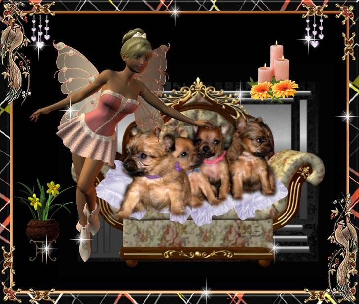 Blanding af racer *Cirkeline, fars lærling* - smukt redigeret billed af 4 små banditter.....Ja, hende smuksakken, alfen klapper på hovedet, er lille mig....Smil.. billede 12