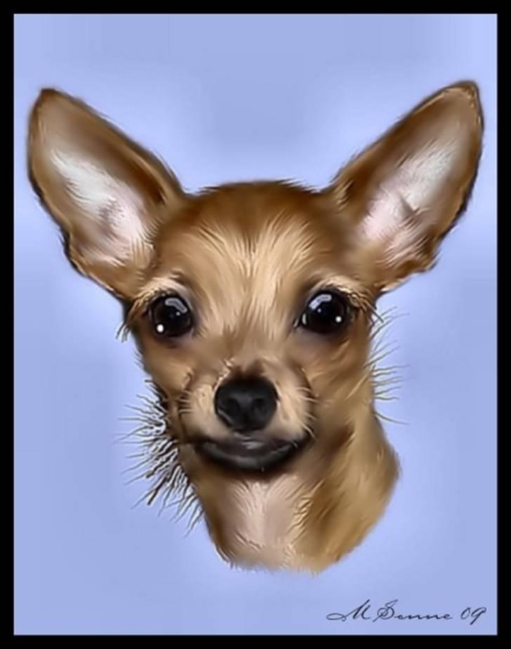 Blanding af racer *Cirkeline, fars lærling* - Smukt redigeret billed af Lucky......Af Marianne........ billede 20