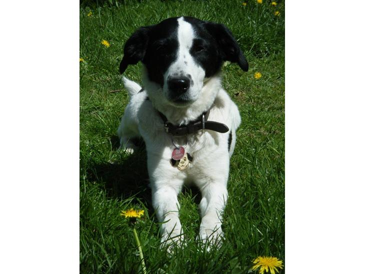 {{currentPhoto.altText}} billede {{currentPhoto.number}}