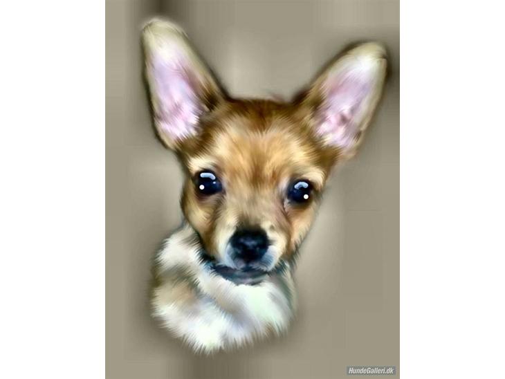 {{currentPhoto.altText}} billede {{currentPhoto.number}}