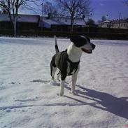 Blanding af racer Didi