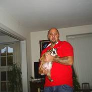 Engelsk bulldog Anton