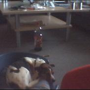 Blanding af racer Charlie