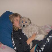 Blanding af racer <3 Mulle <3