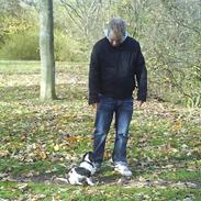 Blanding af racer Joey