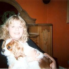 Cavalier king charles spaniel Smilla