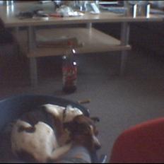 Blanding af racer Charlie