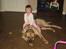 Mastiff Holger (Find holger ) - Godt hun ikke vejer 40 kg........