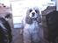 Amerikansk cocker spaniel mulle