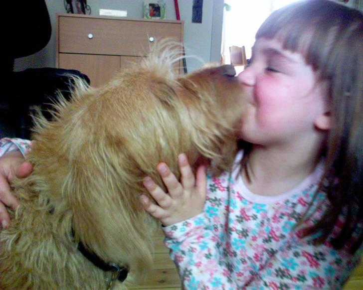 Basset fauve de bretagne baloo - Baloo gir Kamilla et kys billede 15