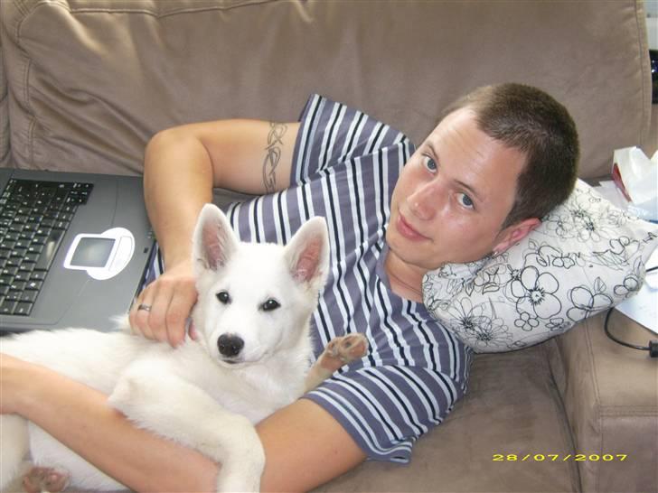 Blanding af racer Sika greenie billede 13