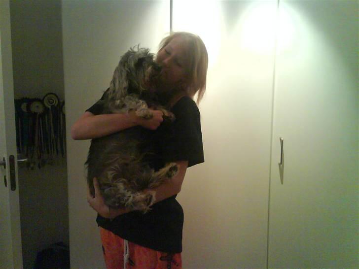 Gravhund Petruska*DØD* billede 3