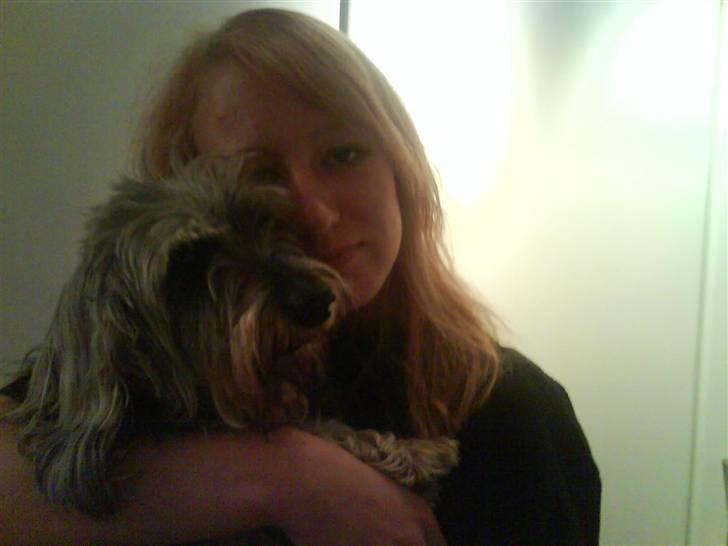 Gravhund Petruska*DØD* billede 4