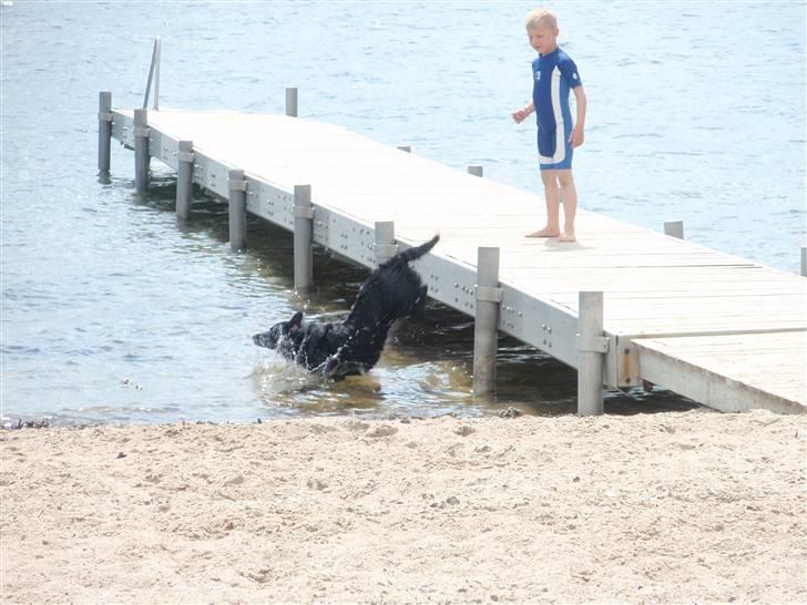 Blanding af racer Sally (sørøveren) - Sørøveren havde íkke lige læst at man ikke måtte tage hovedspring fra broen.....*lol* billede 8