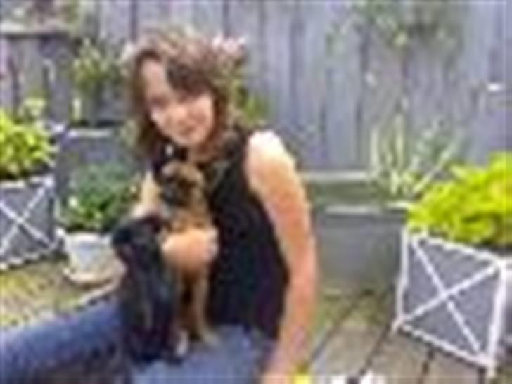 Griffon petit brabancon Kenzo - Camilla sammen med Kenzo og Chanel billede 14