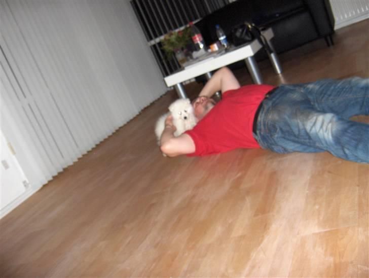 Japansk spids safir billede 4