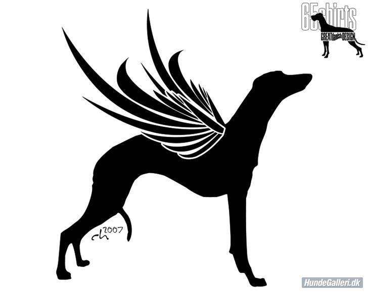 Whippet Dragonwing Cyclone (Thea) - lavet af www.65shirts.com  billede 13